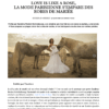 Love Is Like A Rose - Article of Marie Claire